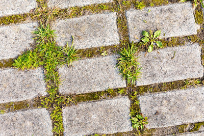 High angle view of stone wall