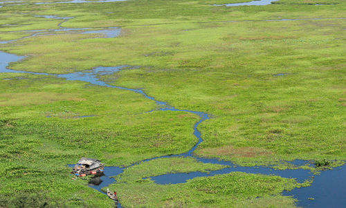 High angle view of person on landscape