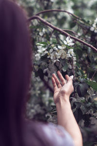 Close-up of hand touching plant