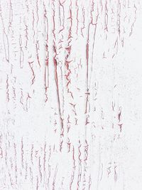 Full frame shot of raindrops on white wall