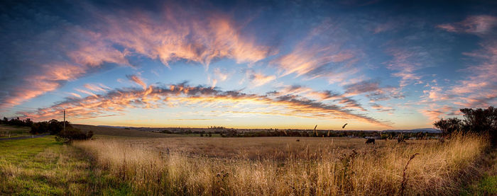 Scenic view of agricultural field against dramatic sky