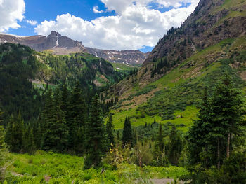 Scenic view of trees and mountains against sky