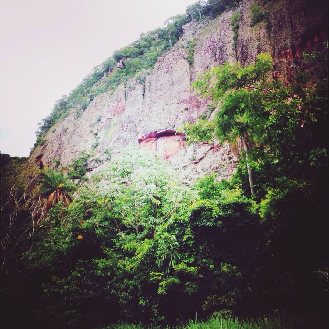 mountain, rock formation, tranquility, tranquil scene, tree, nature, beauty in nature, scenics, growth, rock - object, plant, cliff, rocky mountains, non-urban scene, geology, landscape, sky, physical geography, rock, low angle view