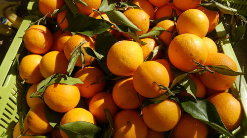 Close-up of full frame oforange fruits in market