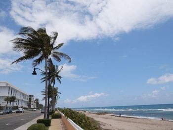 Palm trees on beach against sky