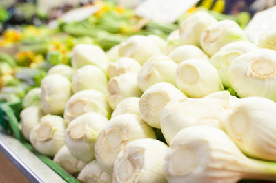 Close-up of fresh fennels at market stall