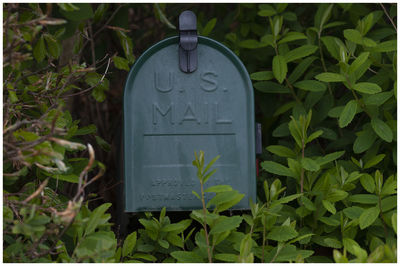 Close-up of text on plant