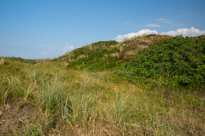 Scenic view of land against sky