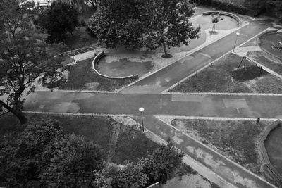 High angle view of trees