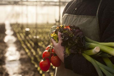 Portrait of woman holding tomato