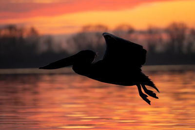 Scenic view of lake during sunset