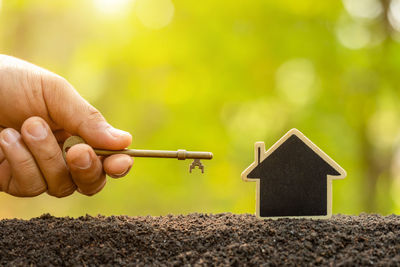 Close-up of person holding small wooden post