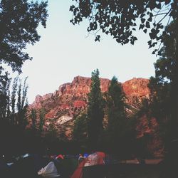 Low angle view of trees against mountain