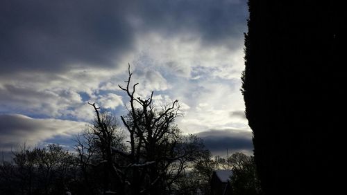 Low angle view of bare trees against cloudy sky