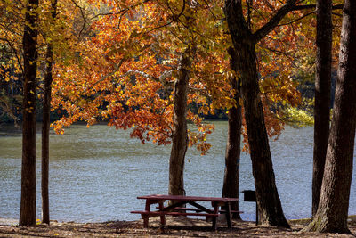 Park bench by lake during autumn