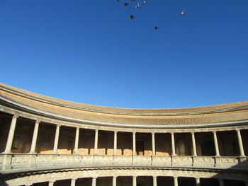 Low angle view of birds flying against clear blue sky