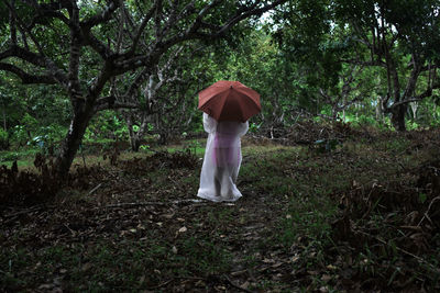 Rear view of a man standing in forest