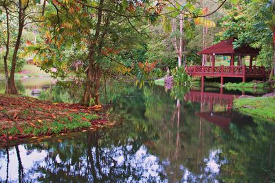 Scenic view of lake by trees in park