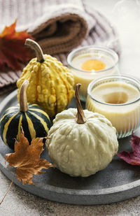 Fall composition with multi color pumpkins on rustic background