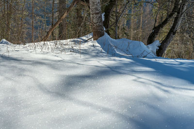 Follow the waves. the sea on the snow.