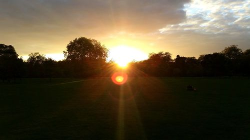 Sun shining through trees