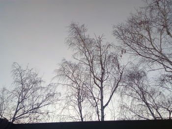 Low angle view of silhouette bare trees against sky