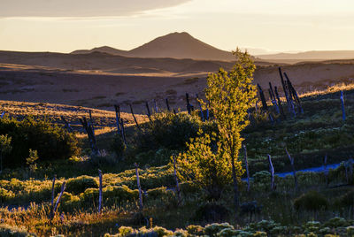 Scenic view of landscape against sky during sunset