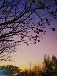 Low angle view of silhouette trees against sky during sunset