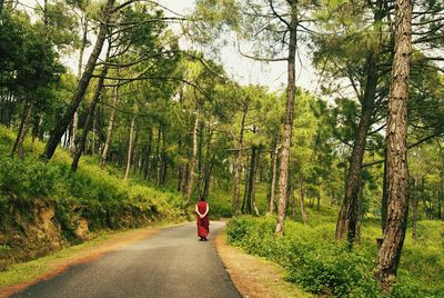 Rear view of man walking on road amidst trees