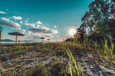 Scenic view of grass against sky