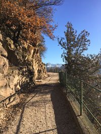Road amidst trees against clear sky