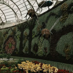 Low angle view of plants growing in greenhouse