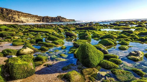 Scenic view of rocks against clear blue sky