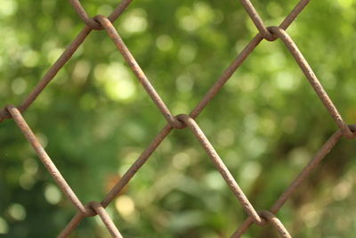 Close-up of chainlink fence