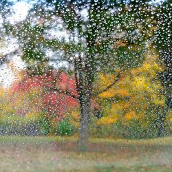 Close-up of water drops on glass