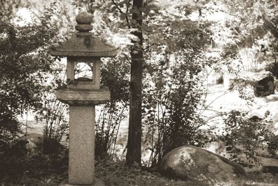 Cross in cemetery against trees