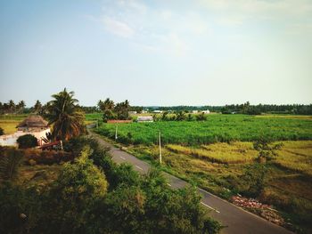 Road amidst agricultural field against sky