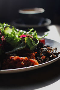 Close-up of meal served in plate