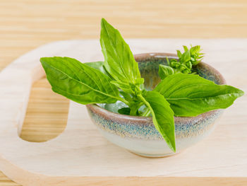 Close-up of herb in bowl on cutting board