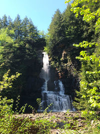 Scenic view of waterfall in forest