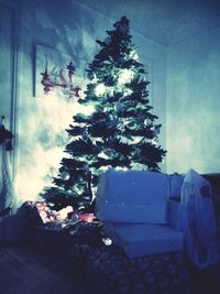 Christmas tree at home