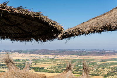 Scenic view of field against clear sky