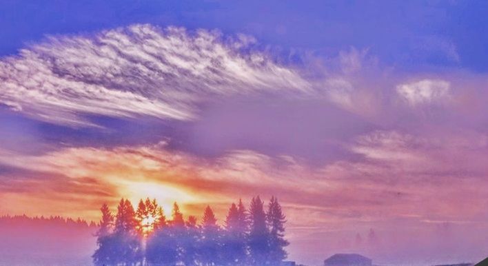 SCENIC VIEW OF FOREST AGAINST DRAMATIC SKY