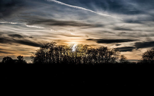 Silhouette of trees against cloudy sky