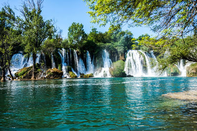 Scenic view of waterfall in forest