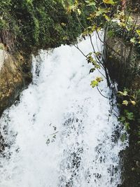 Scenic view of waterfall in forest