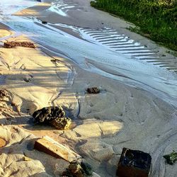 View of sandy beach