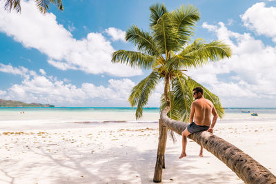 Man sitting on palm tree at beach against sky