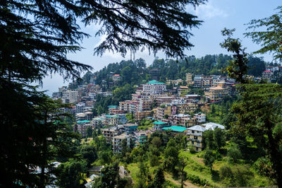 High angle view of trees on landscape against sky