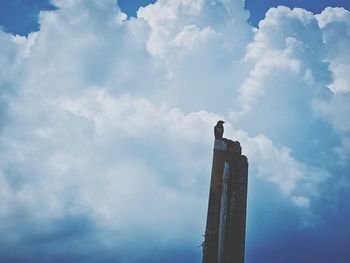 Low angle view of bird on cloudy sky